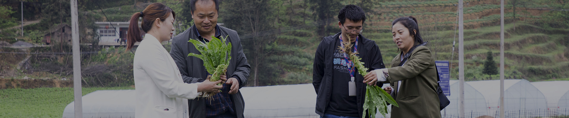 促農(nóng)發(fā)展_福禧農(nóng)產(chǎn)品