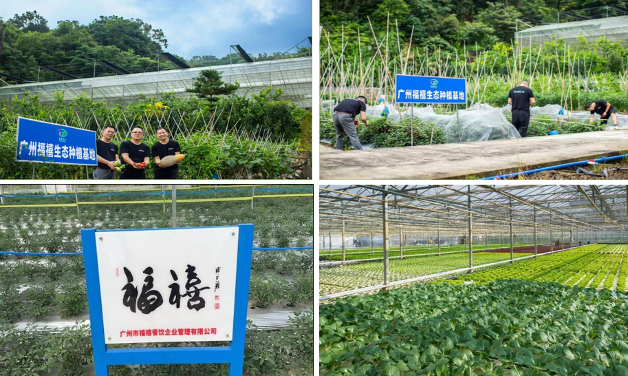 供應基地和供應商_福禧農產品