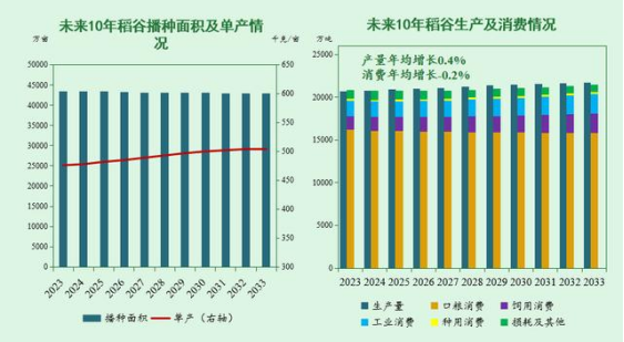 稻谷 &mdash;&mdash;&mdash;生產總體穩定 消費量和進口量穩中有降